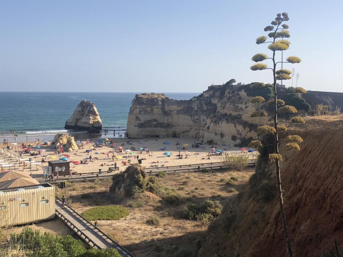 Algarve Ocean Garden Apartment Portimão Eksteriør billede